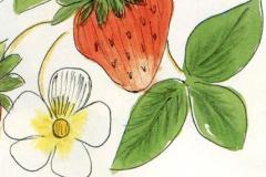 muhu_maasikas_14