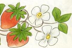 muhu_maasikas_16
