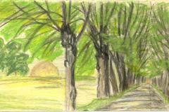 1-dets_alee_sindis